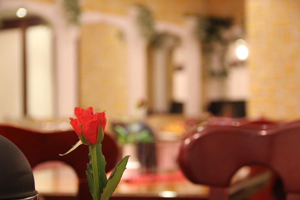 hotel wali