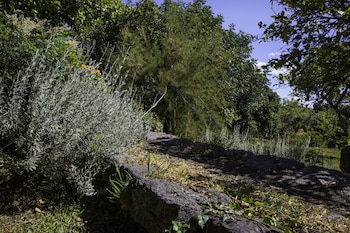 Tenuta Santa Tecla,Acireale>>Aci Catena,3 star