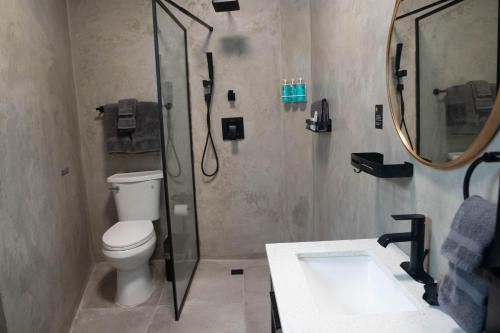 the looking glass hotel