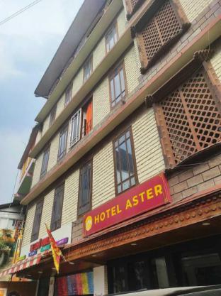 hotel aster