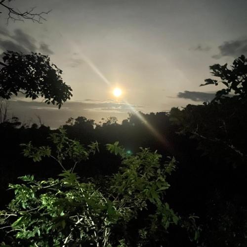 el llano