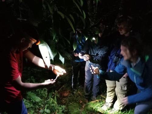 konsenda san blas