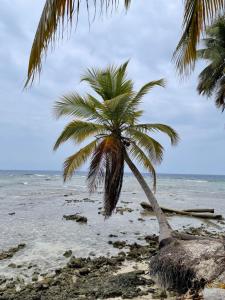 el llano