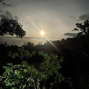 el llano