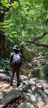 el llano