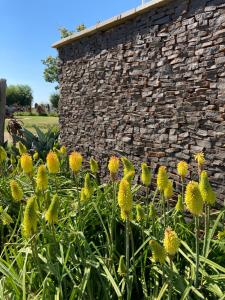 the vaal guesthouse