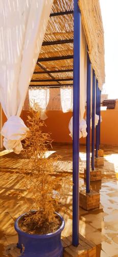 le petit jardin marrakech