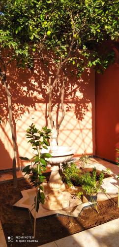 le petit jardin marrakech
