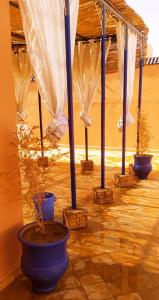 le petit jardin marrakech