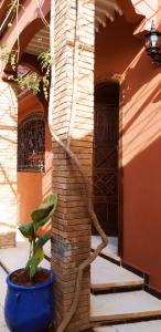 le petit jardin marrakech