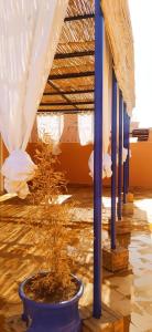 le petit jardin marrakech