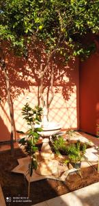 le petit jardin marrakech