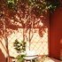 le petit jardin marrakech