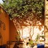 le petit jardin marrakech