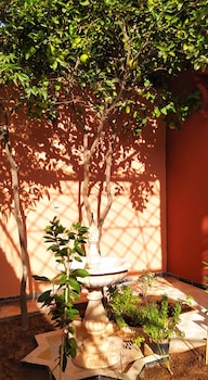 le petit jardin marrakech