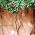 le petit jardin marrakech
