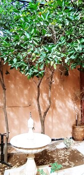le petit jardin marrakech