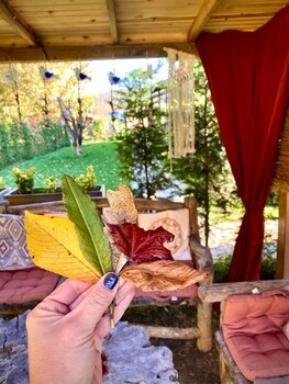 bolu