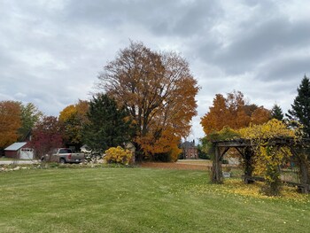 rocklyn inn bed and breakfast