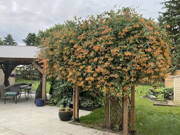 rocklyn inn bed and breakfast