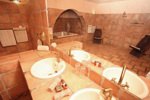 mount etjo safari lodge