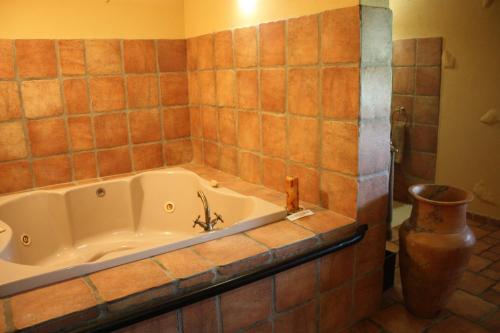 mount etjo safari lodge