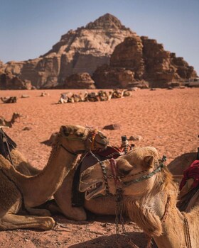 traditions of wadi rum camp and jeeptour