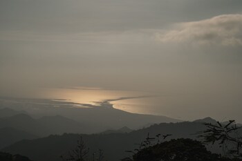 terramia estate
