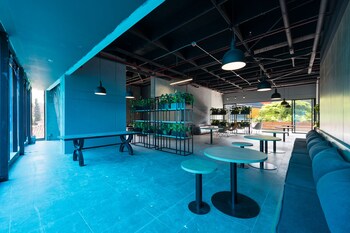 go living and suites