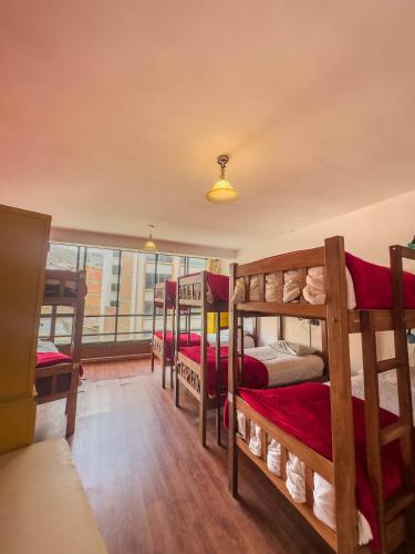 lobo hostel la paz