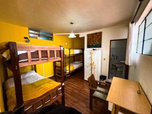 lobo hostel la paz