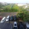 cendana co living solo baru