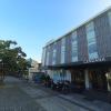 cendana co living solo baru