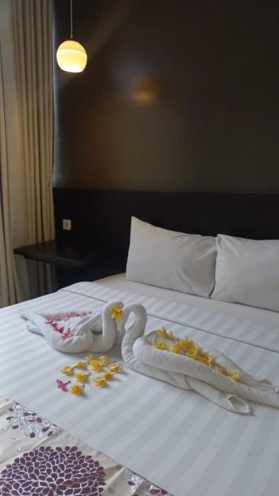 cendana co living solo baru