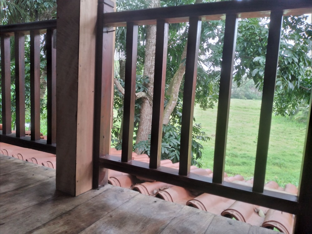 green herbal ayurvedic eco chalets