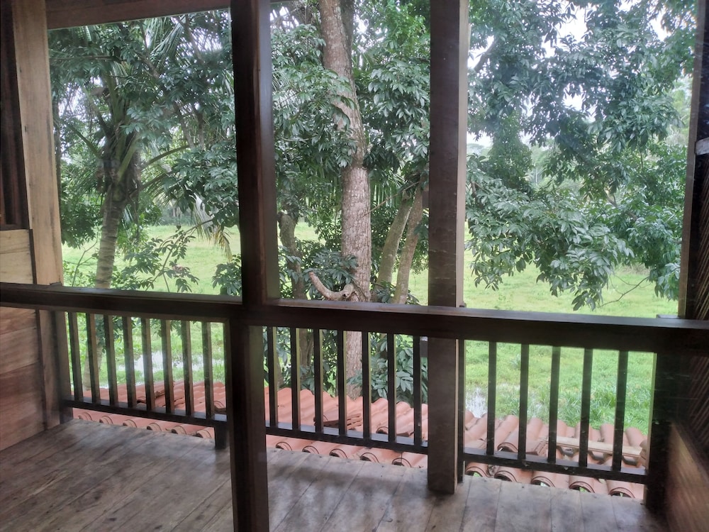 green herbal ayurvedic eco chalets