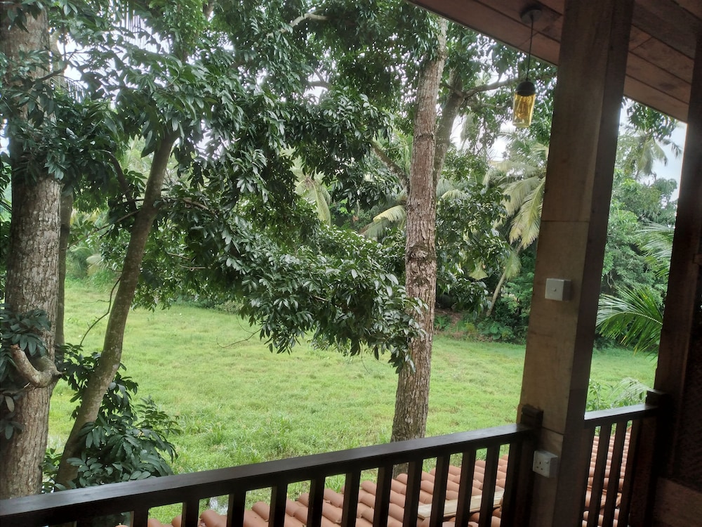 green herbal ayurvedic eco chalets