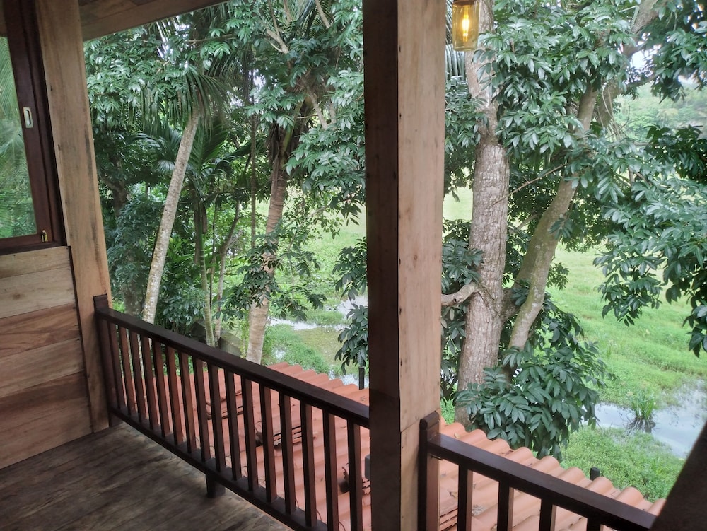 green herbal ayurvedic eco chalets