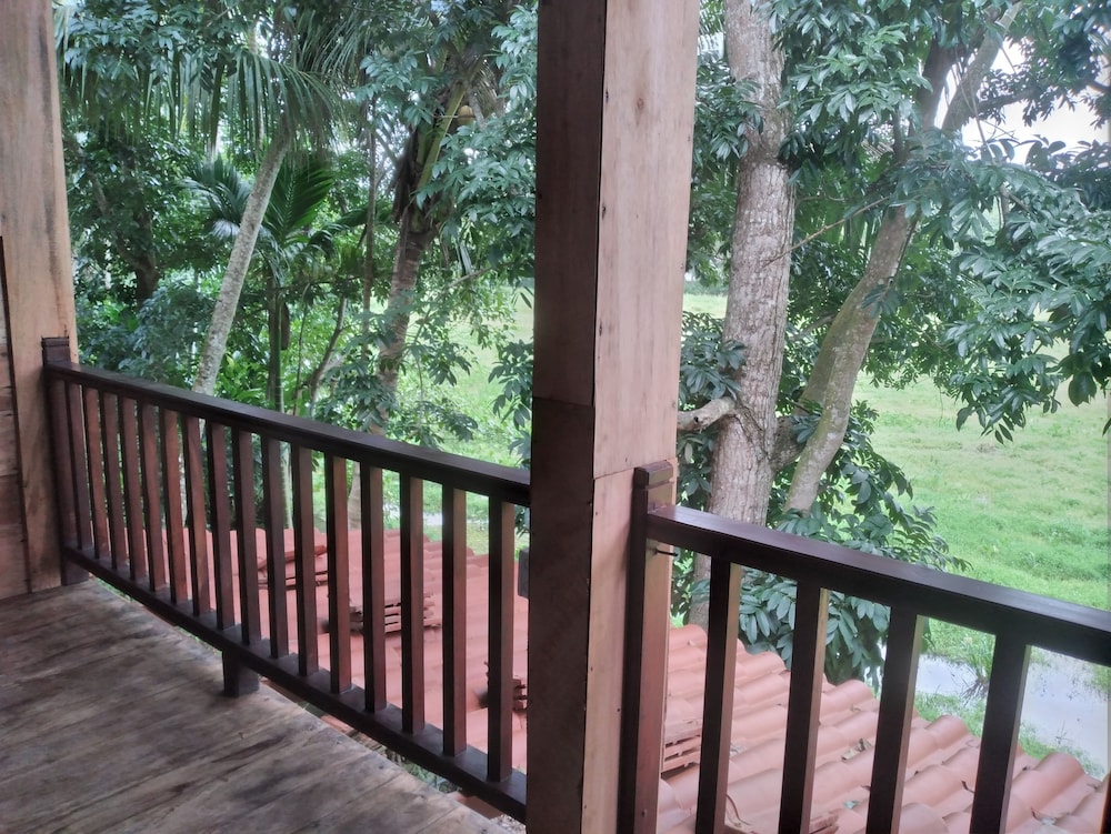 green herbal ayurvedic eco chalets