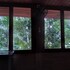 green herbal ayurvedic eco chalets