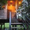green herbal ayurvedic eco chalets