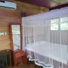 green herbal ayurvedic eco chalets