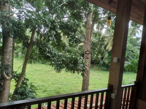 green herbal ayurvedic eco chalets