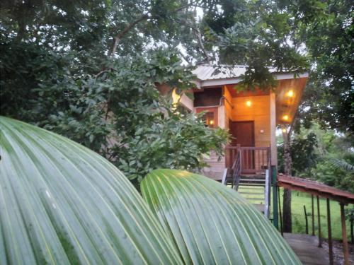 green herbal ayurvedic eco chalets