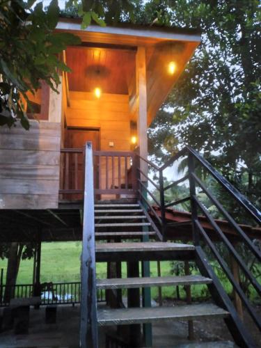 green herbal ayurvedic eco chalets