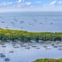 haven retreat in coconut grove