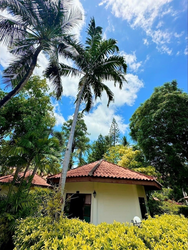 patong leelavadee huating holiday phuket