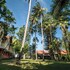 patong leelavadee huating holiday phuket