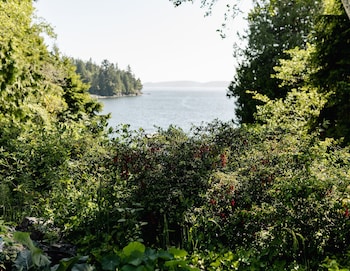 lunar cove inn