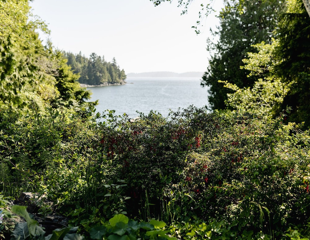 lunar cove inn